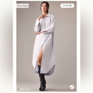 NWT Anthropologie Soren Shirt Dress